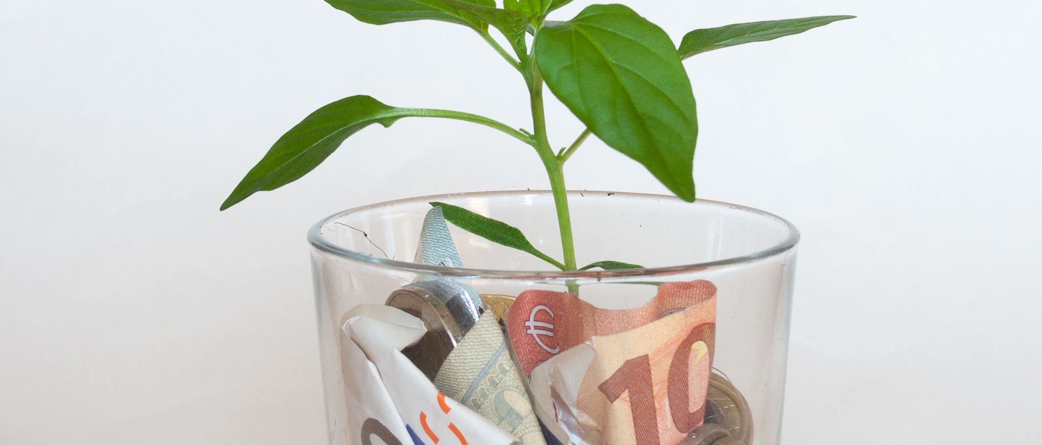 Spenden & Ehrenamt